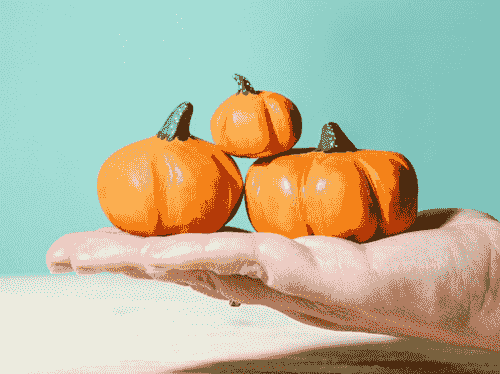 Pumpkin SET 南瓜三件組