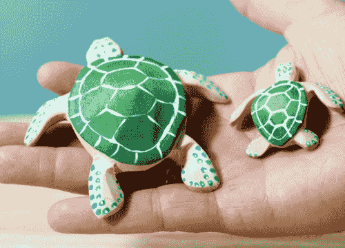 Sea Turtle 大海龜