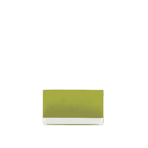 Wallet Plana  Lime Silver