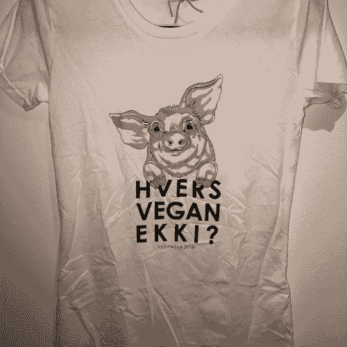 Bolur - Veganúar 2019