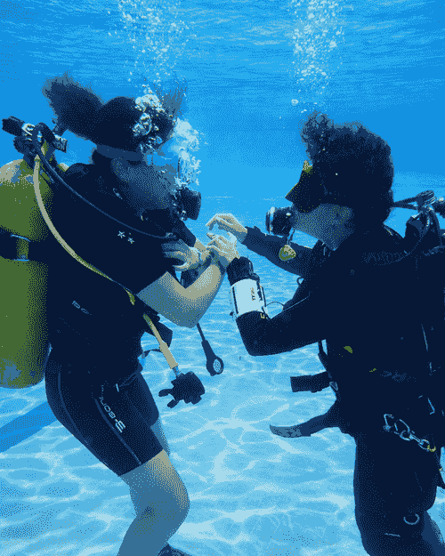 Certificación Privada - SDQ: Eco Open water