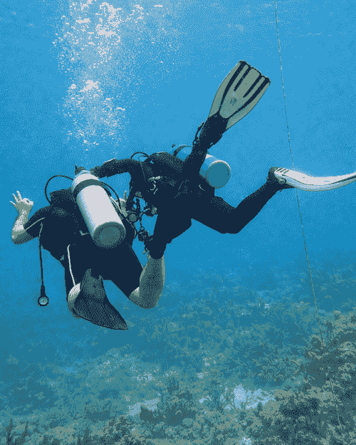 Discovery Scuba Diving (Bautizo)