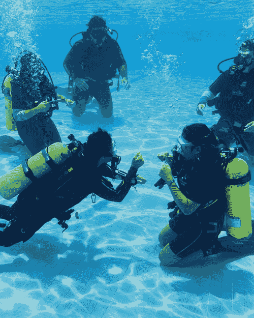 Curso de Buceo - SDQ: Eco Open Water