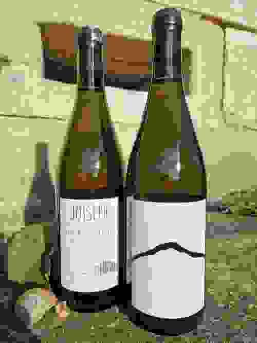 Muskat Ottonel - 0,75 l - organic