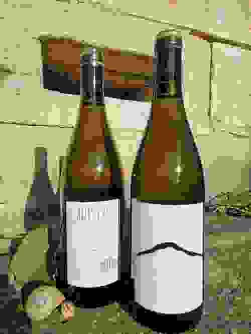 Furmint - 0,75 l organic Jahrgang 2023