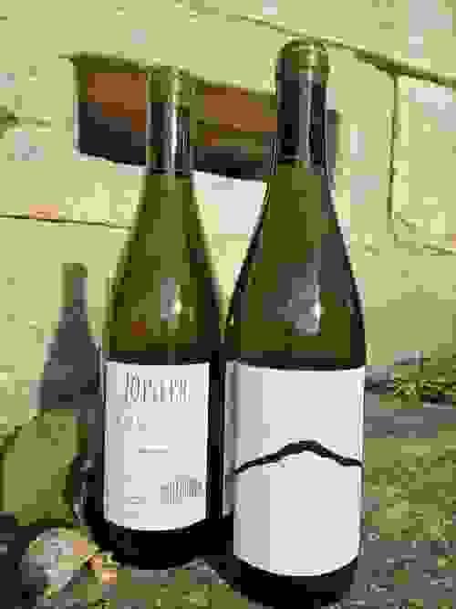 T_NN_NB_RG 0,75 l - organic 2022