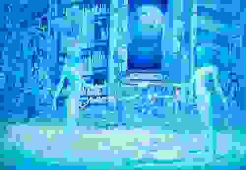「群生」