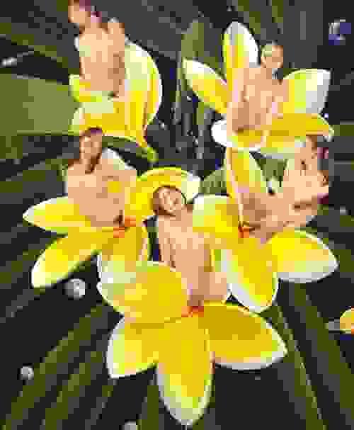 「受粉」