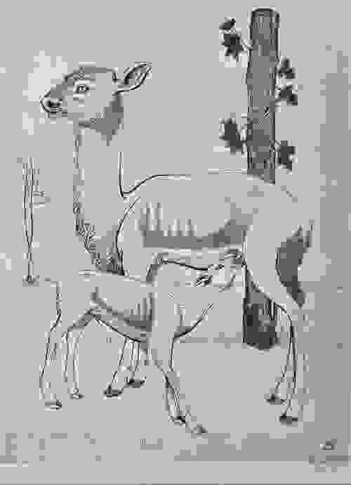 Artist Abraham Krol