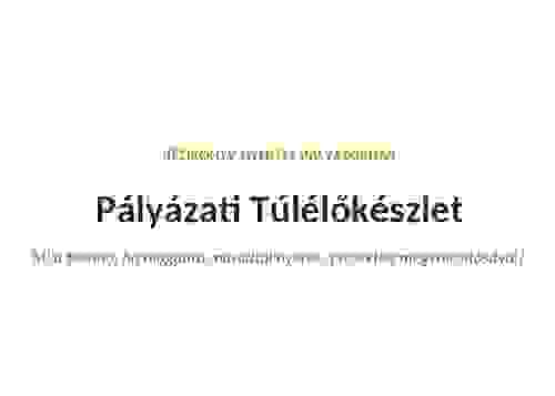 Pályázati Túlélőkészlet