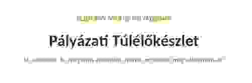Pályázati Túlélőkészlet