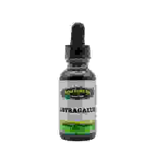 ASTRAGALUS