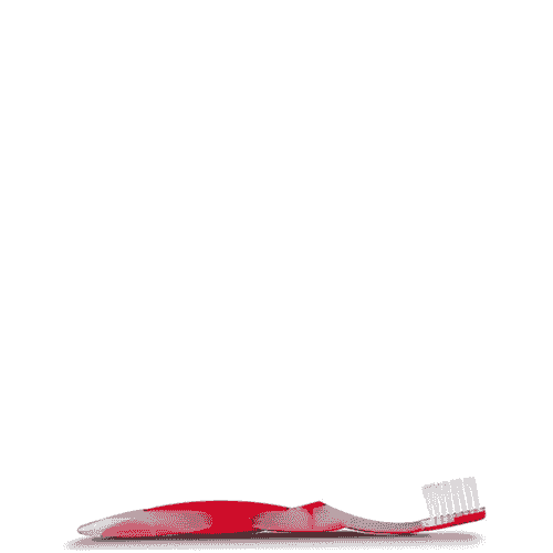 SoFresh Flossing Toothbrush for Kids