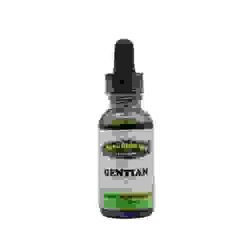 GENTIAN