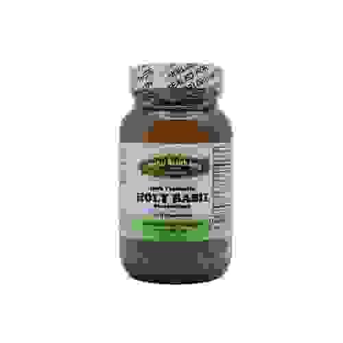 HOLY BASIL