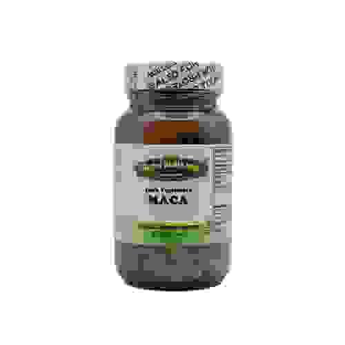 MACA
