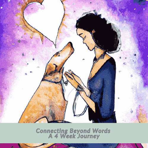 Connecting Beyond Words - A 4 Week Journey 