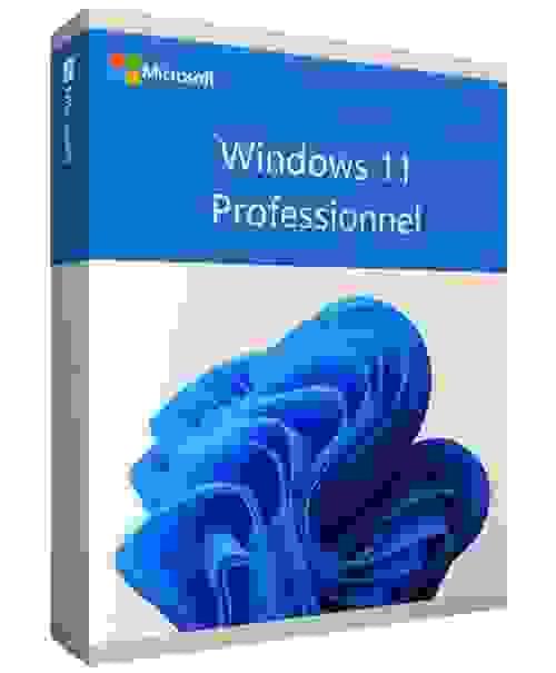 MICROSOFT WINDOWS 11 PRO LICENCE PERPETUELLE + INSTALLATION FR