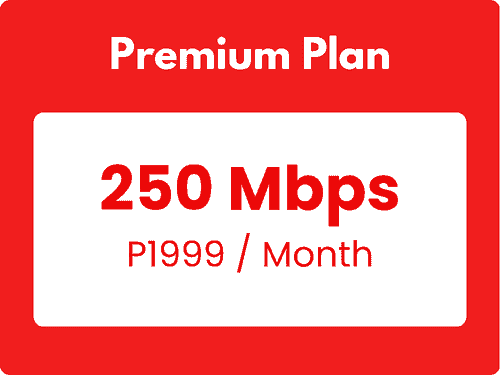 Premium Plan1999