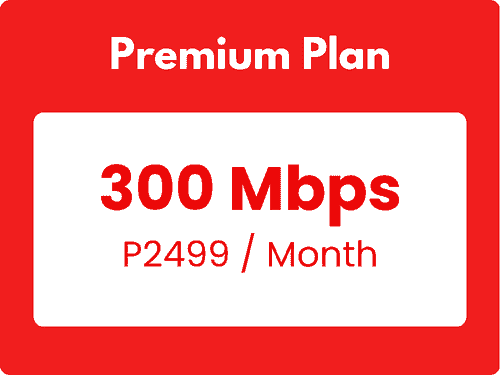 Premium Plan2499