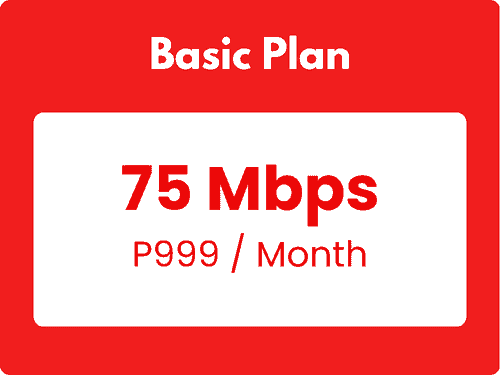 Basic Plan999
