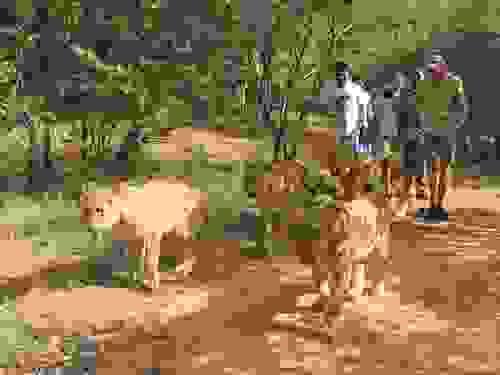 The Big Five interaction