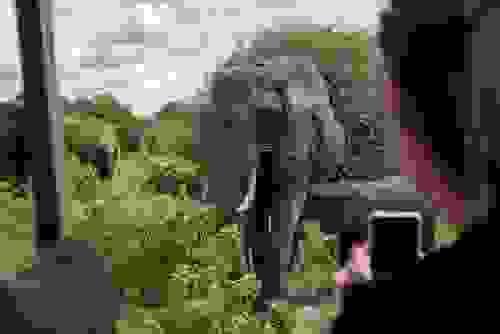 Tourism Industry Experts Showcasing Zambia’s Beauty