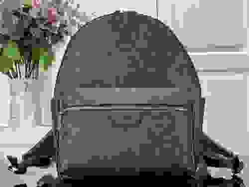 LV Backpack
