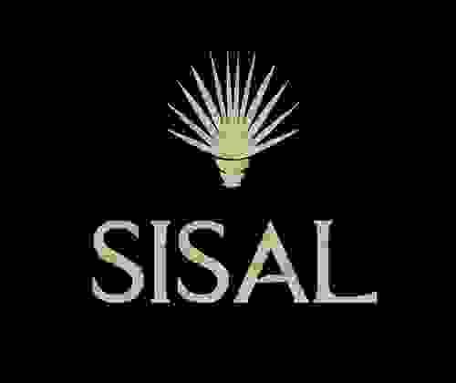 Sisal Henequen yarns