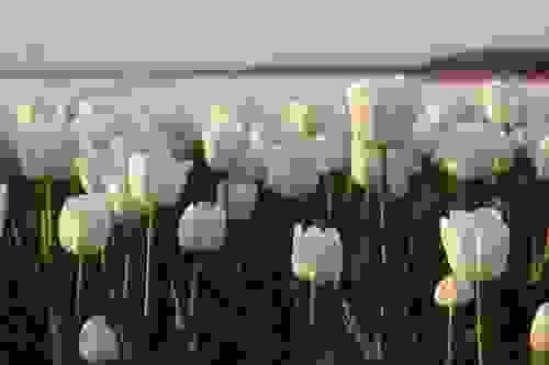 JUST IN CASE If you're not sure that you are in trouble, buy these just in case.