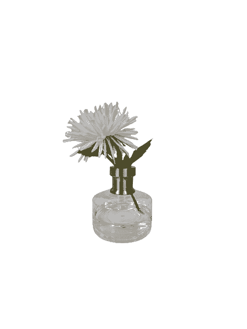 WHITE MUM STEM IN GLASS VASE WITH GOLDNECK IN AQUALOOK