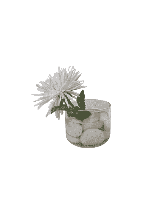 WHITE MUM STEM IN GLASS VASE WITH AQUALOOK + RIVERROCKS
