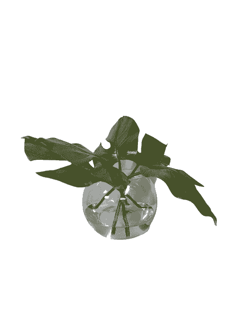 LEAVES IN AQUALOOK IN ROUND GLASS BOWL