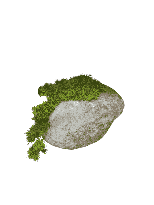 CARVED NATURAL LIMESTONE WITH MOSS TOPPER