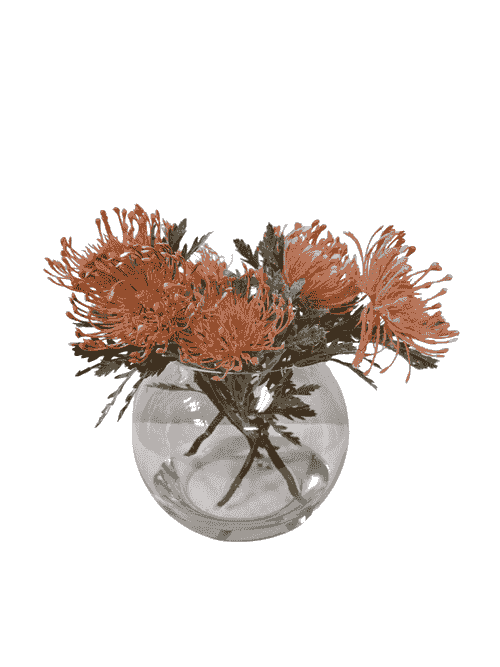 BLUSH/PEACHY STEMS IN AQUALOOK ROUND GLASS