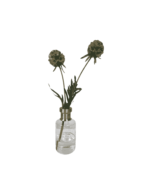 STEMS IN AQUALOOK IN GOLDNECK GLASS VASE