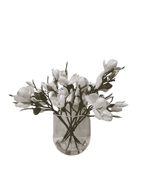 JAPANESE MAGNOLIA STEMS IN AQUALOOK AND GLASS VASE