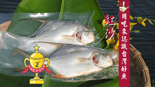 金鯧魚（紅衫/紅沙）- 售完, 靜待下次收成！