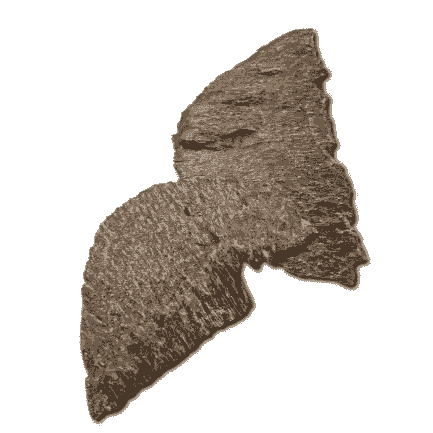 Flat Chaar ( Use for Hair and Daily cum Dewaniyah)