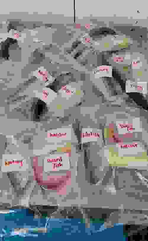 Fresh Fish Mystery Bag