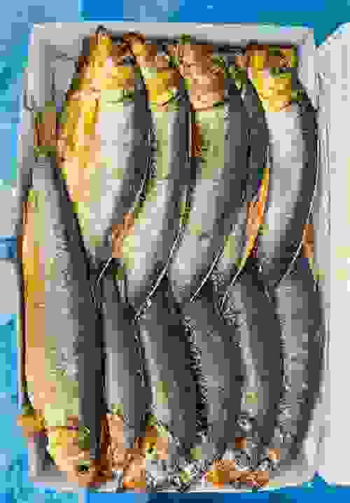Frozen Kippers x 3 kilo
