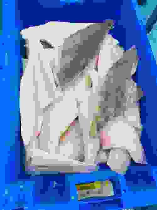 Frozen Small Halibut Fillet 1 kilo.