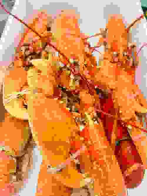2 x Fresh Native Lobster