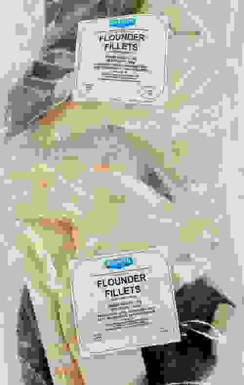 Frozen Flounder Fillets