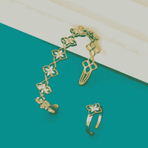 BRACLETE AND RING