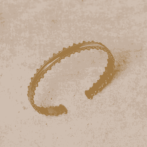 BRACLETE