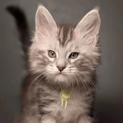 ***Réservé*** Zadkiel