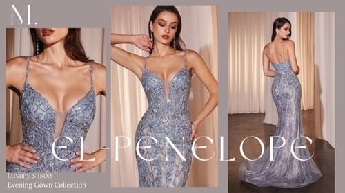 Penelope For Sale