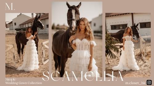 Camellia For Sale