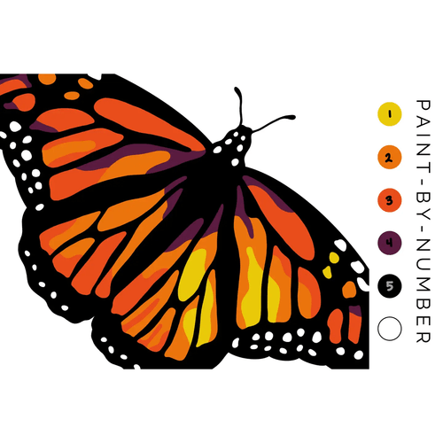 Paint-By-Number, Butterfly